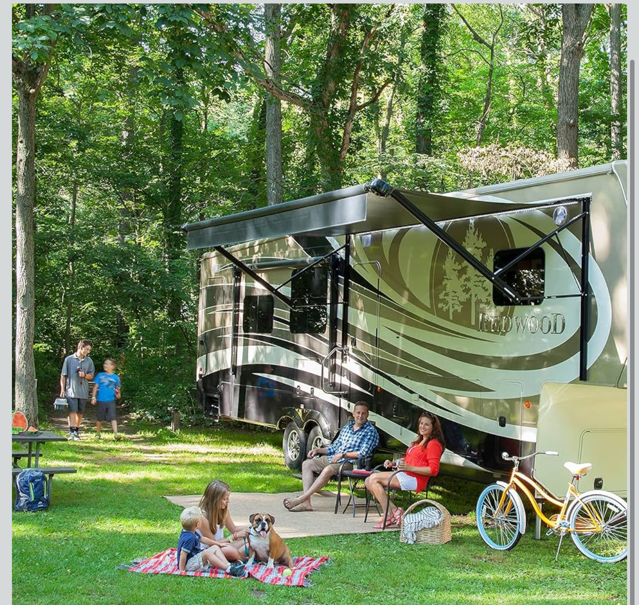 Standard Flat Awning Support Arm Assembly - Black Solera 281154 69"