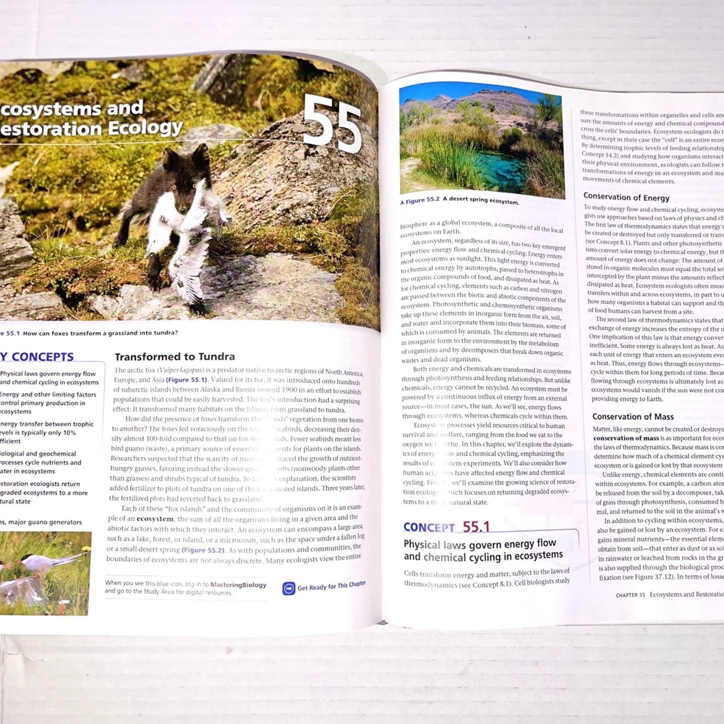 Campbell Biology 11th Edition ISBN-13: 978-0134093413, ISBN-10: 0134093410 book