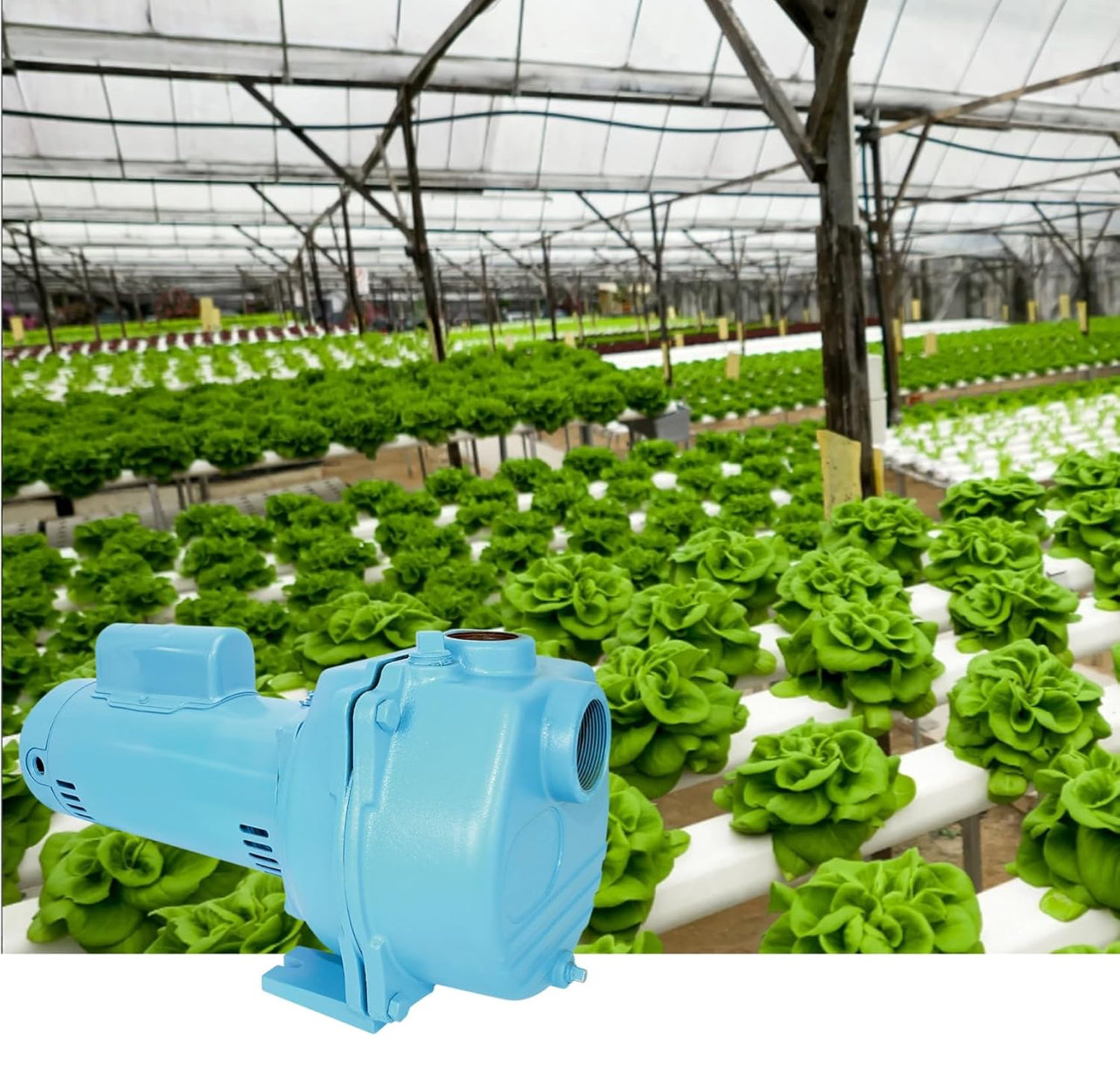 Little Giant LSPH-200-C 2 HP, 230V 84 GPM, 57 PSI High Pressure Sprinkler/Irrigation Pump, Blue, 558298