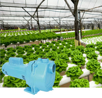 Little Giant LSPH-200-C 2 HP, 230V 84 GPM, 57 PSI High Pressure Sprinkler/Irrigation Pump, Blue, 558298