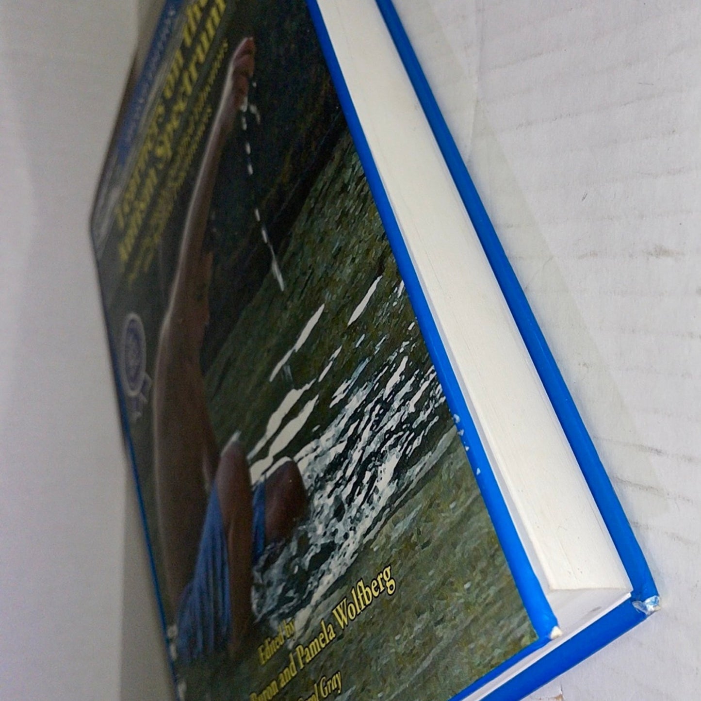 Learners on the Autism Spectrum: Preparing Highly Qualified Educa (2nd Edition)