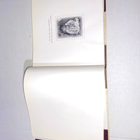 Cathy Luchetti Children of the West: Family Life on the Frontier