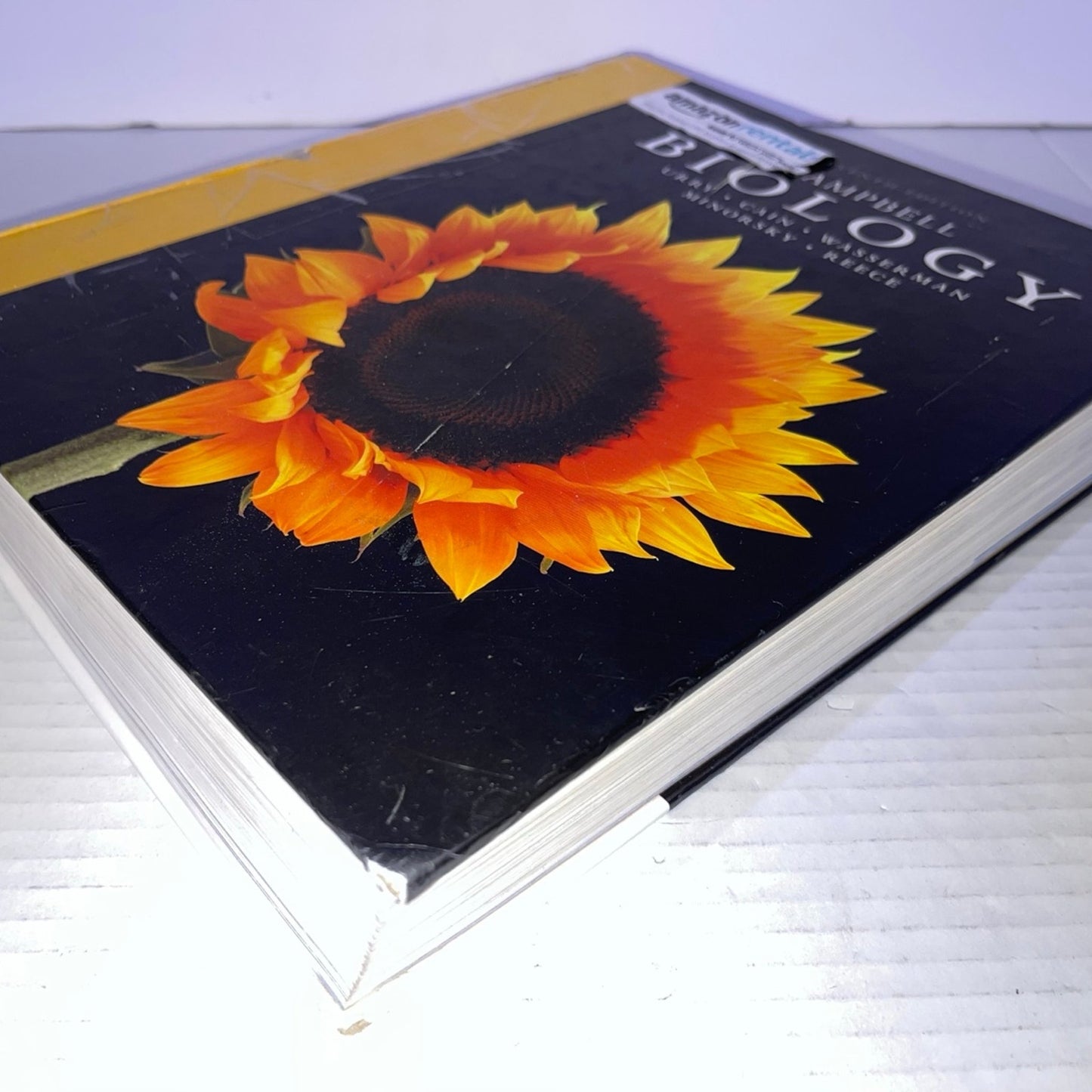 Campbell Biology 11th Edition ISBN-13: 978-0134093413, ISBN-10: 0134093410 book