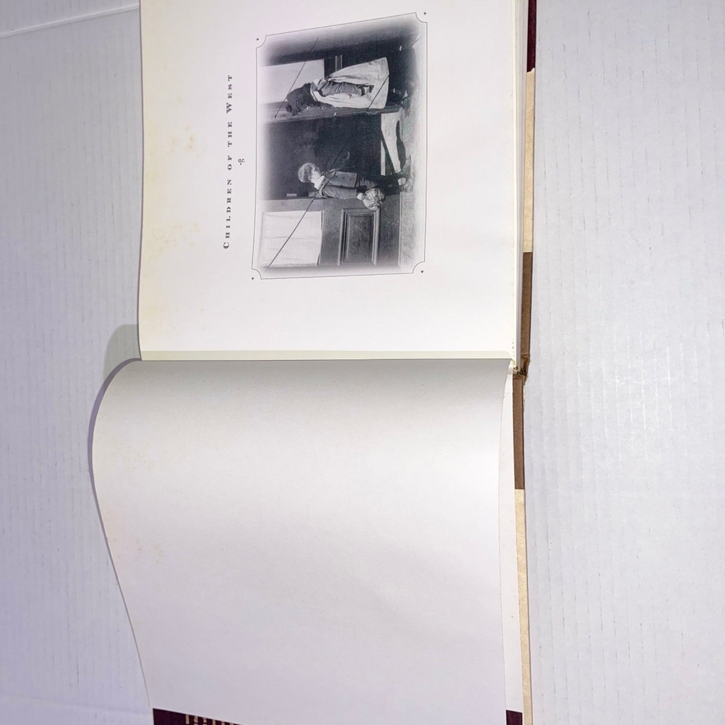 Cathy Luchetti Children of the West: Family Life on the Frontier