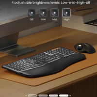 ProtoArc Backlit Bluetooth Ergonomic Keyboard, EK01 Plus Full Size Wireless Spli