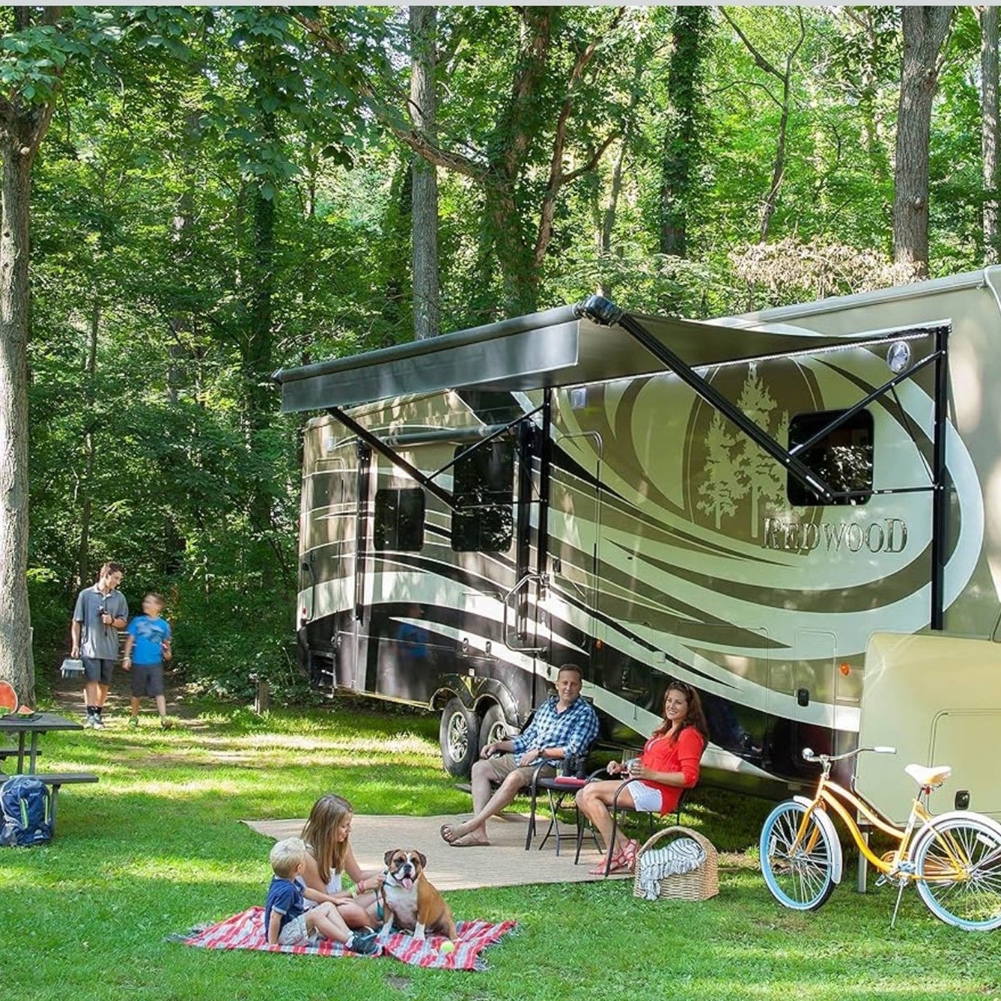 Standard Flat Awning Support Arm Assembly Solera 3000 Series- 281154 69" Black