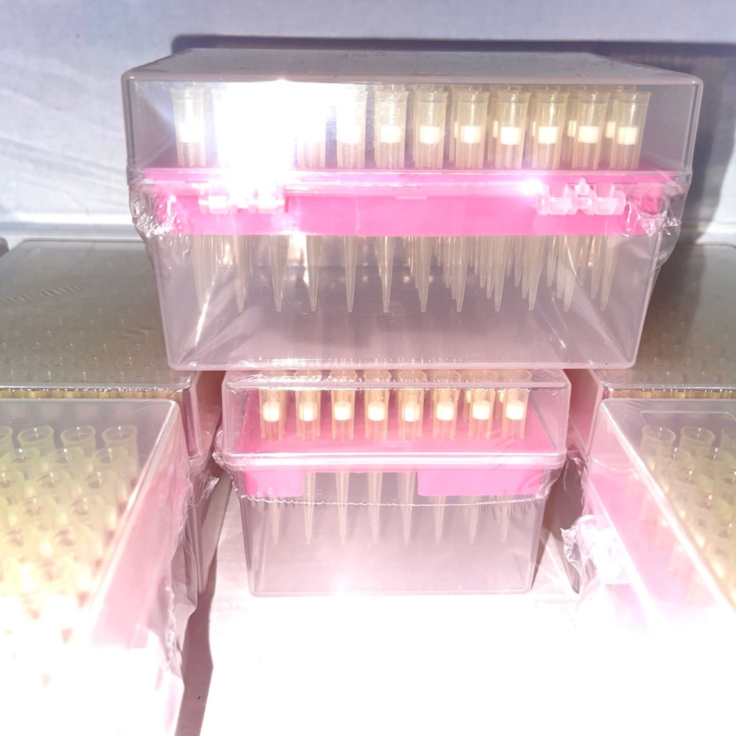 MUHWA 200 µL Filtering Pipette Tips, 200ul Universal Steriled Filter Pipette Tips, DNase and RNase Free - 10 Racks, 960 Tips