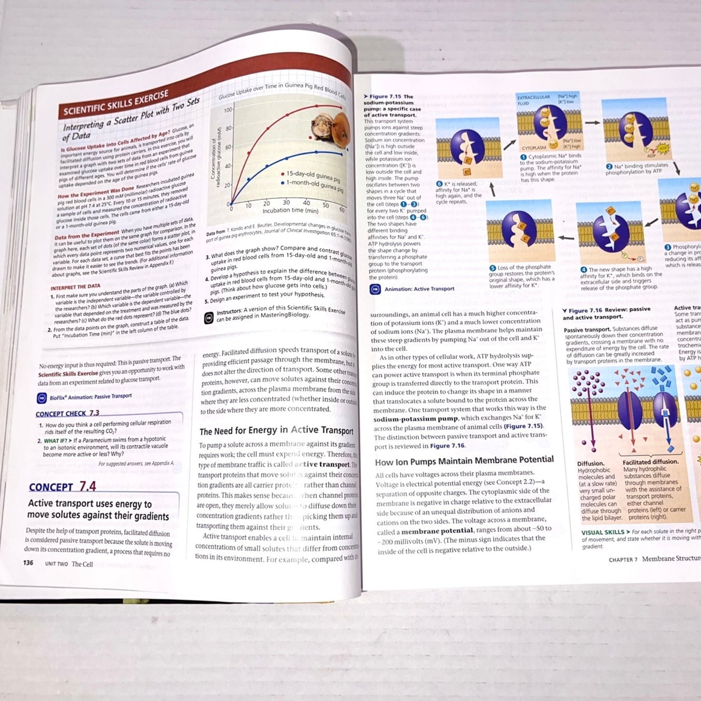 Campbell Biology 11th Edition ISBN-13: 978-0134093413, ISBN-10: 0134093410 book