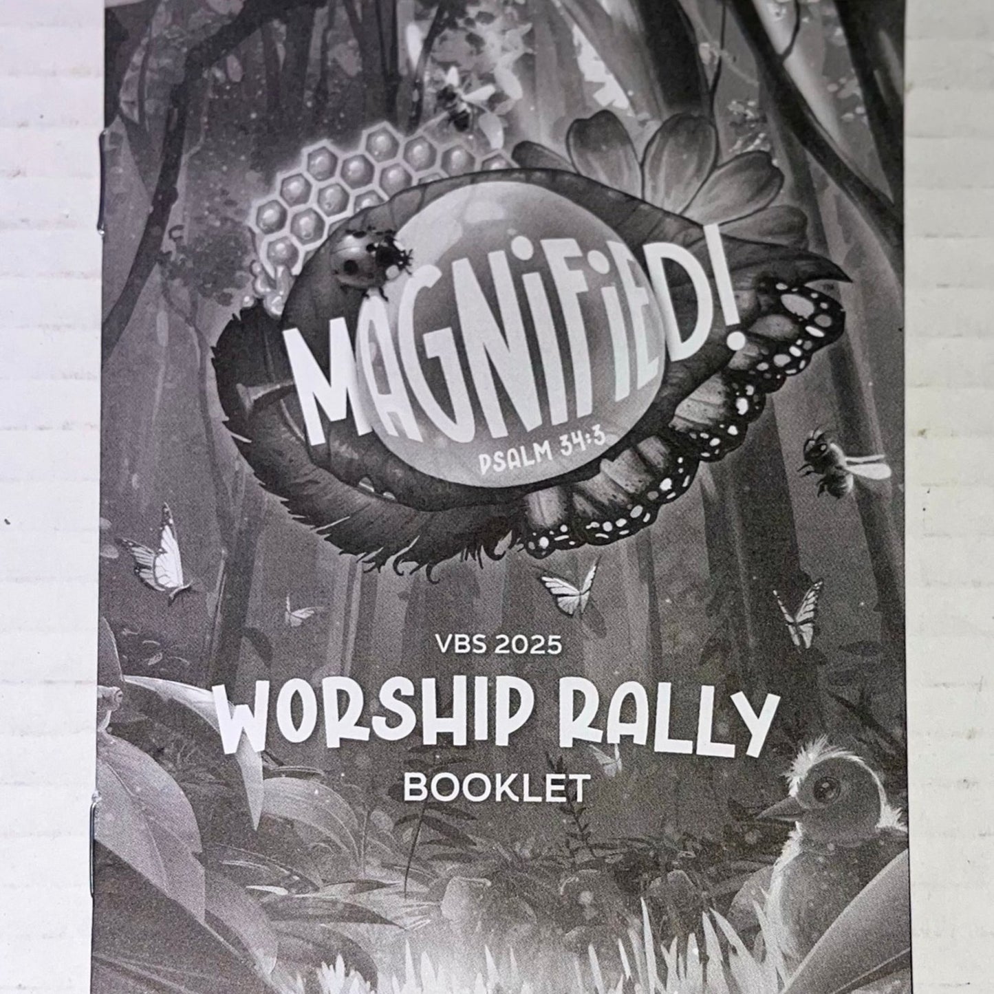 Worship Rally Pack - Magnified! VBS 2025 by Lifeway