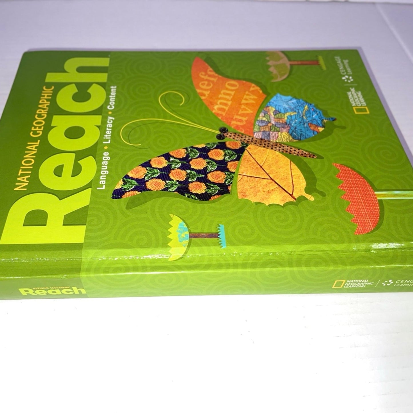 Reach E: Student Edition (Reach for Reading, Grade 4) 2nd Edition ISBN-13: 978-1305493520, ISBN-10: 1305493524