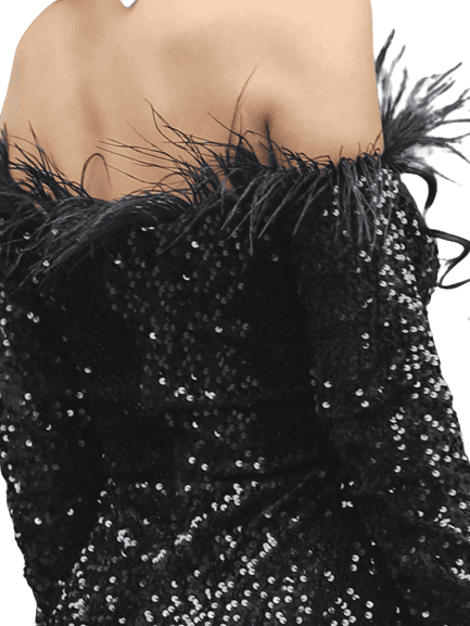 FORMAL SHOULDER FEATHER LONG SLEEVE REFLECTIVE SEQUIN FLOOR LENGTH MAXI NIGHT GOWN EVENING DRESS (WOMEN)