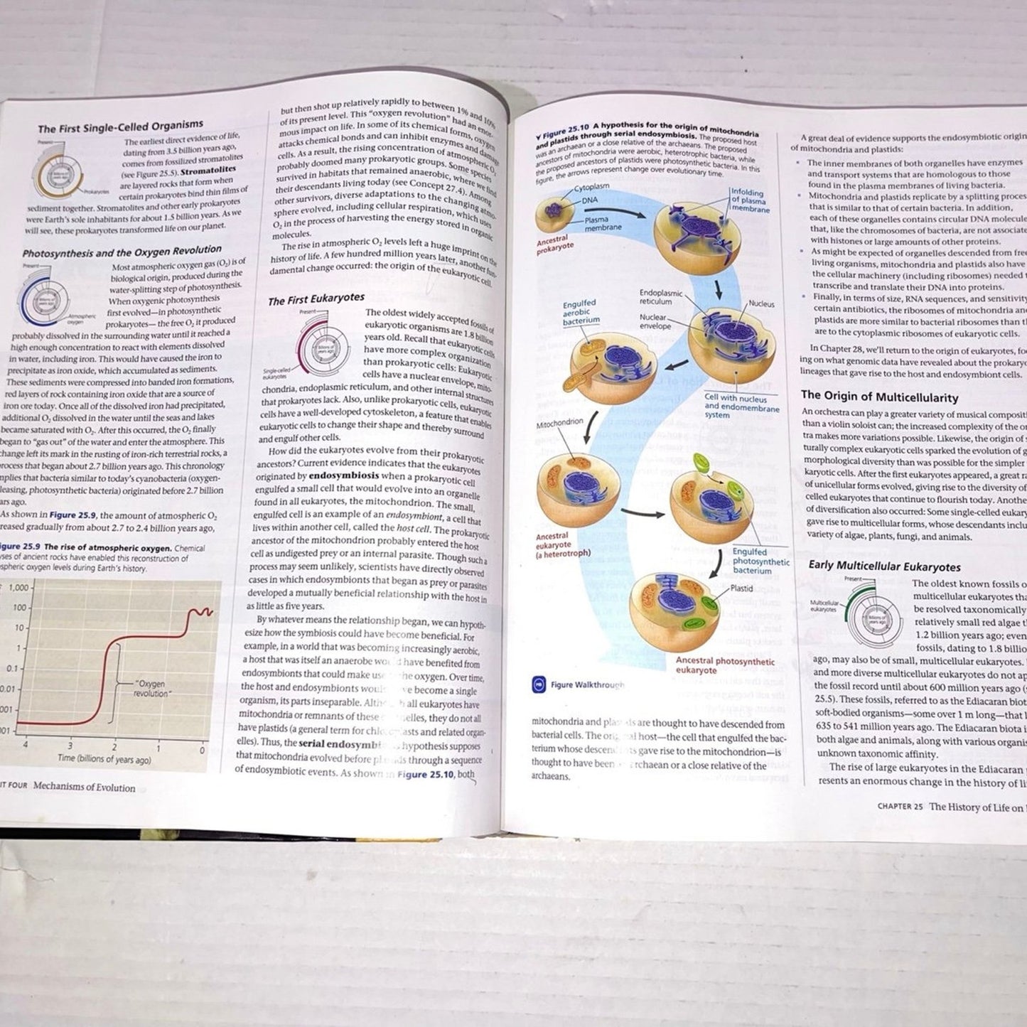 Campbell Biology 11th Edition ISBN-13: 978-0134093413, ISBN-10: 0134093410 book