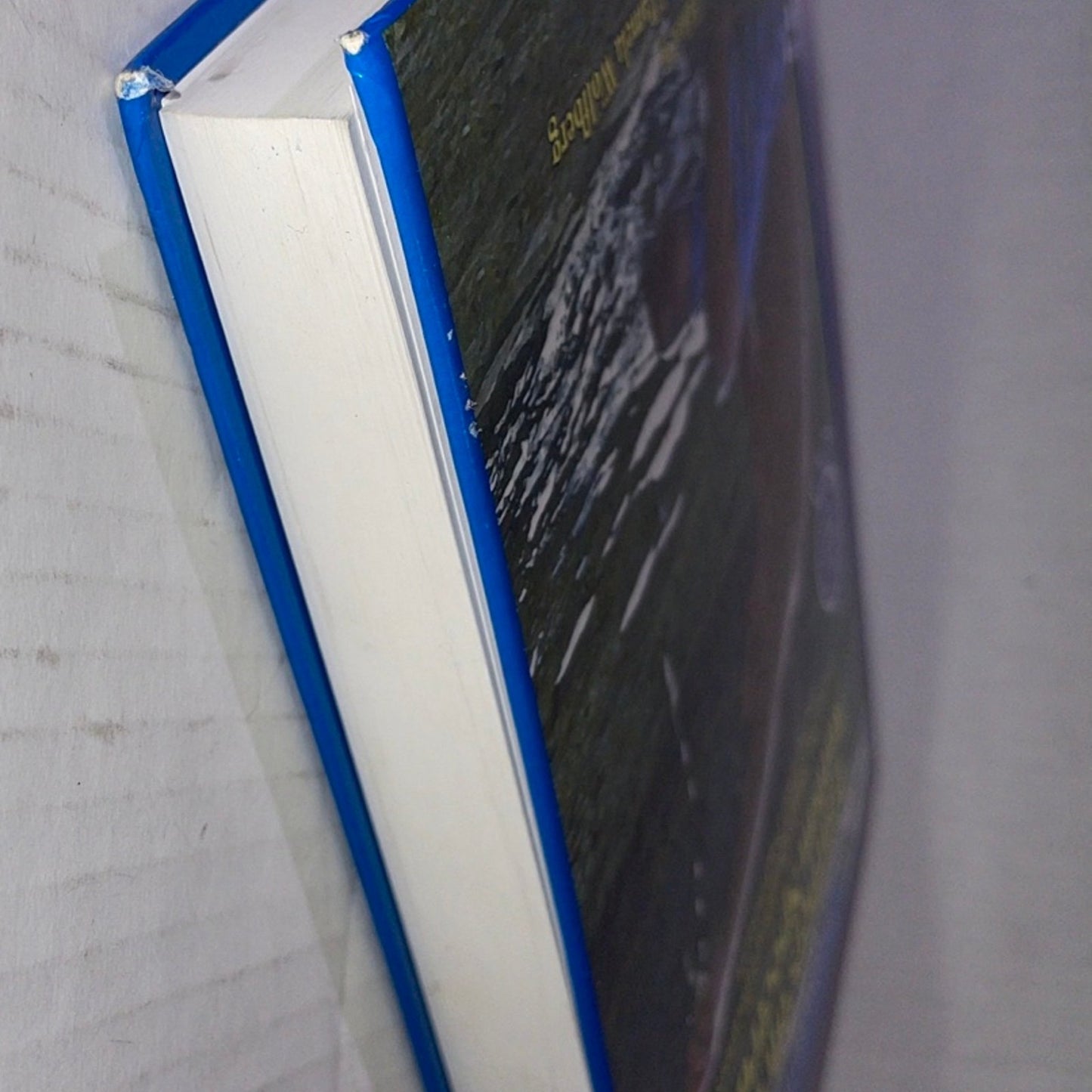 Learners on the Autism Spectrum: Preparing Highly Qualified Educa (2nd Edition)