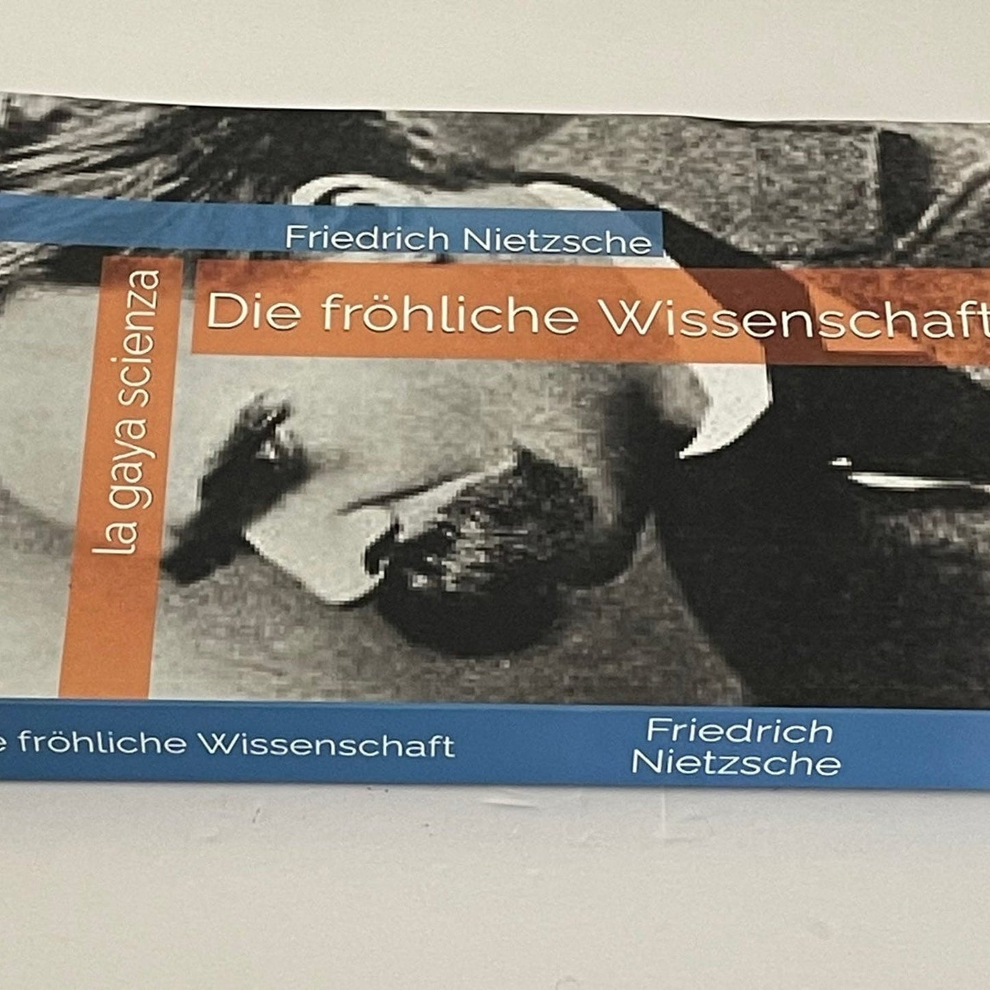 Die Frohliche Wissenschaft: ("La Gaya Scienza") (German Edition)