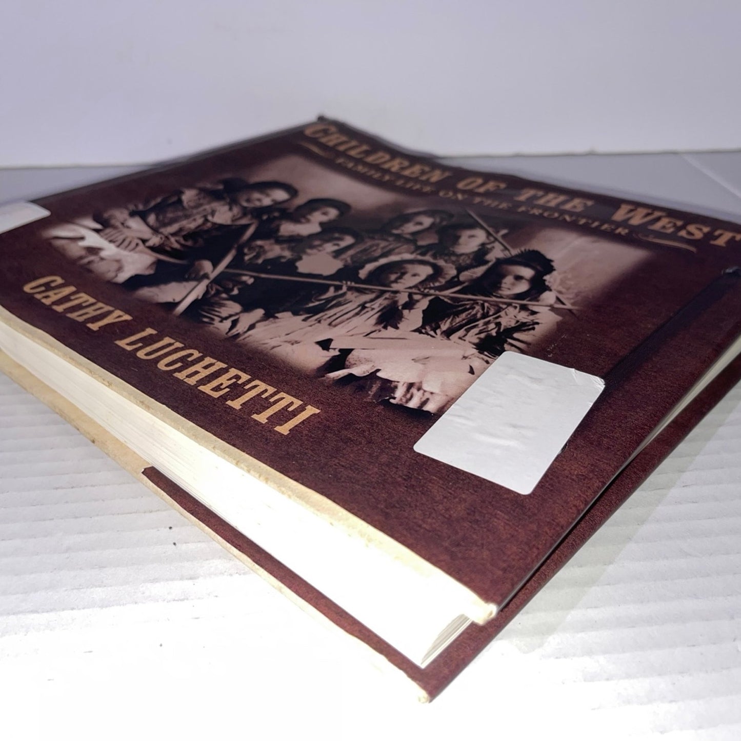 Cathy Luchetti Children of the West: Family Life on the Frontier