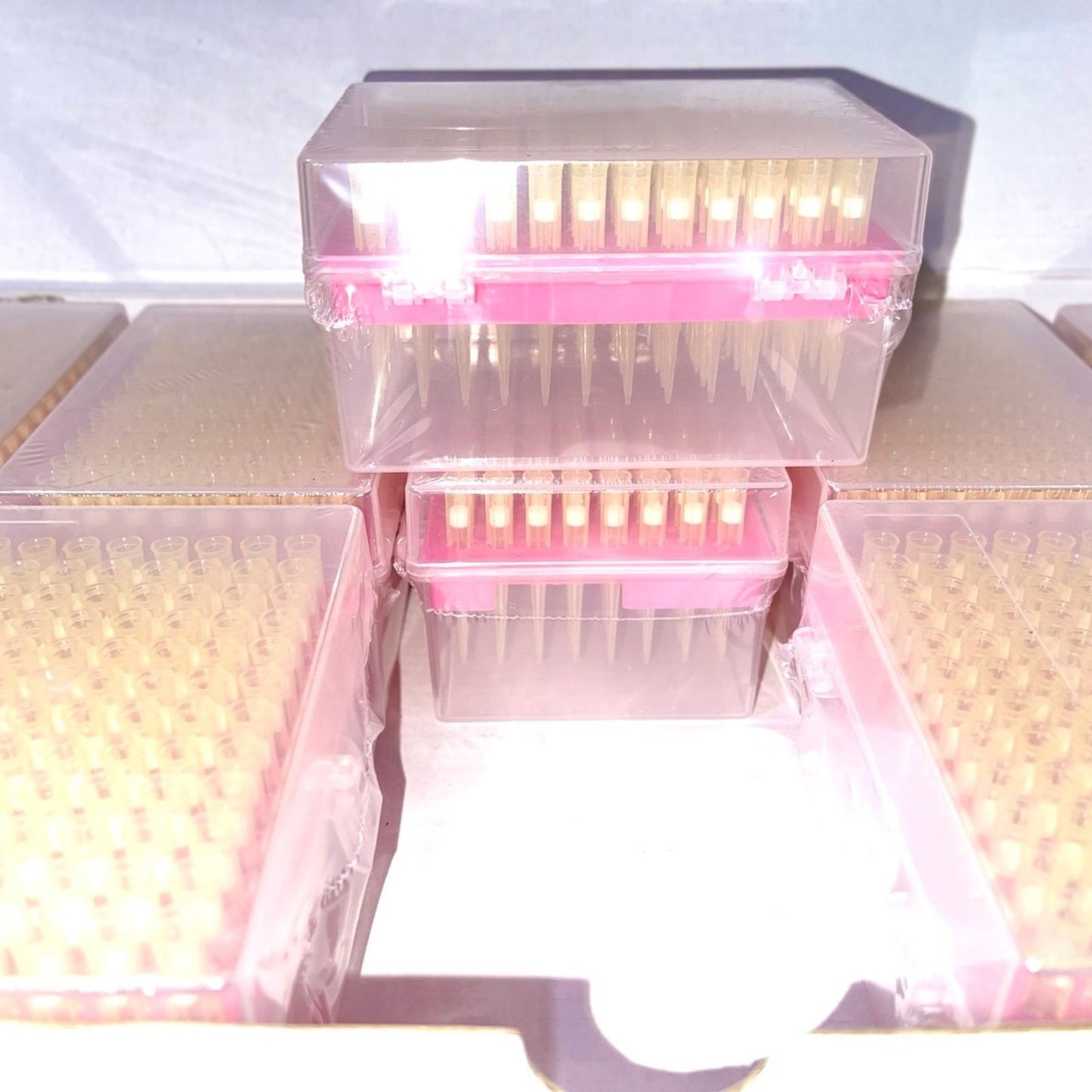 MUHWA 200 µL Filtering Pipette Tips, 200ul Universal Steriled Filter Pipette Tips, DNase and RNase Free - 10 Racks, 960 Tips