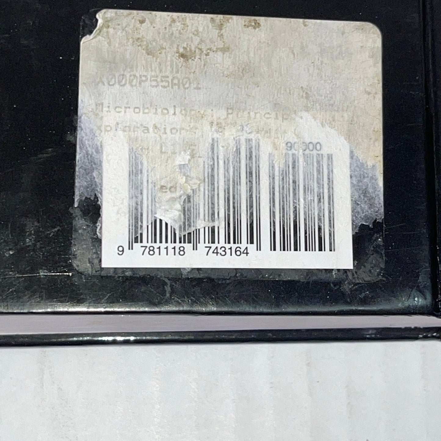 Microbiology: Principles and Explorations 9th Edition Jacquelyn G. Black, Laura ISBN-10  ‎1118743164 ISBN-13	‎978-1118743164
